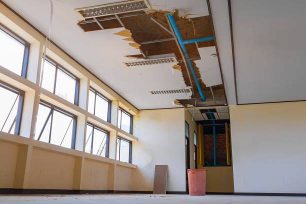 Best Carpet water damage restoration  in Portland, TX