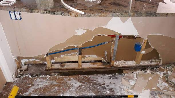Water damage restoration mold remediation in Portland, TX